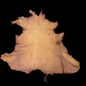 PNQI7657 Animal hide laid out flat against black background.