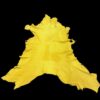 QBYV6016 Yellow leather hide on black background.