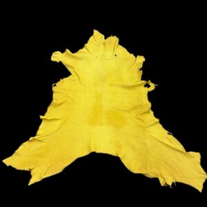 QBYV6016 Yellow leather hide on black background.