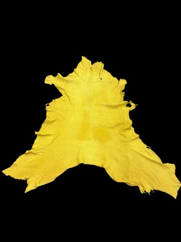 QBYV6016 Yellow leather hide on black background.