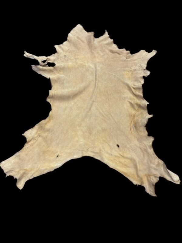 Tanned hide on a black background.
