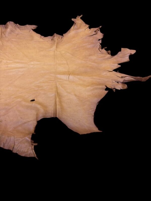Animal hide on a black background.