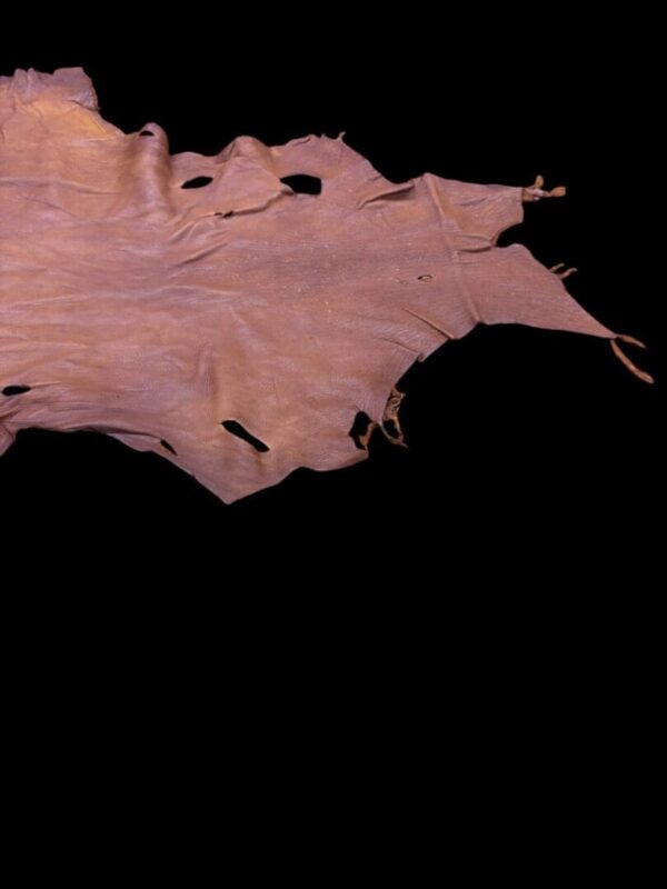 Tanned leather hide on a black background.