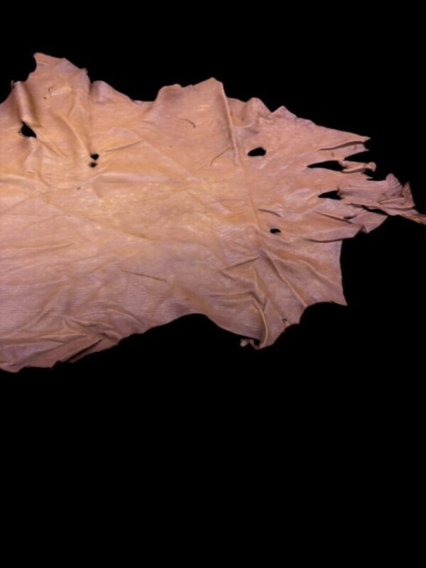 Brown animal hide on a black background.