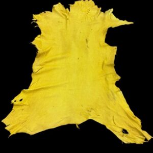 WXQV1643 Yellow animal hide on black background.