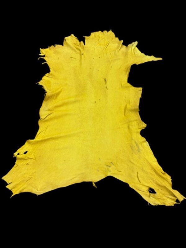 WXQV1643 Yellow animal hide on black background.