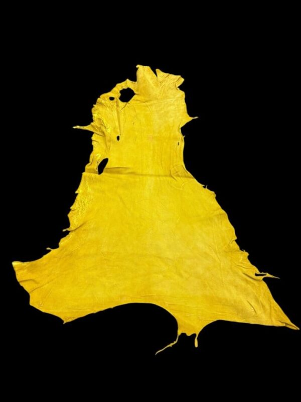 Yellow animal hide on black background.