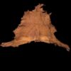 Animal hide displayed against a dark background.