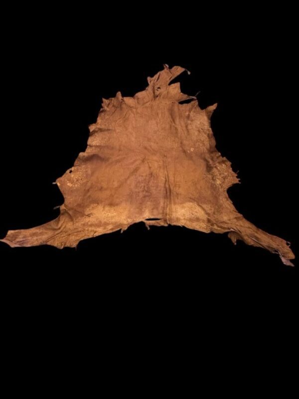 Animal hide displayed against a dark background.