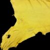 YFZA3899 Yellow animal hide on a black background.