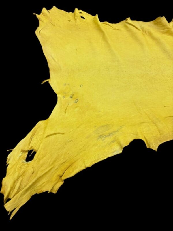 YFZA3899 Yellow animal hide on a black background.