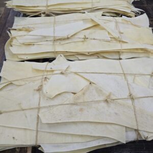 20250130_150654 Rawhide Bundle