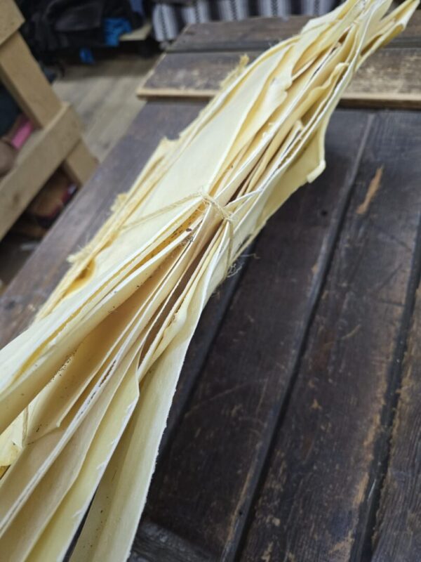 Stack of yellowed papers tied together.
