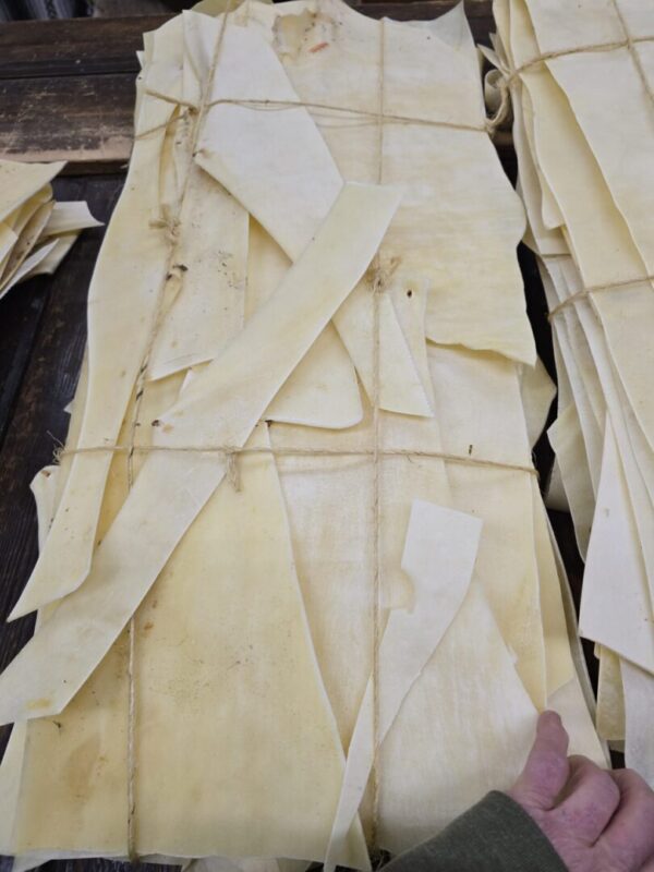 Dried, stretched strips of yellowish material.