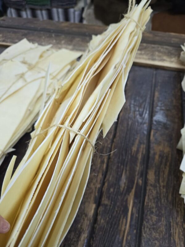 Bundle of tied parchment sheets on wood.