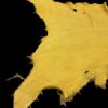 Yellow animal hide on a black background.