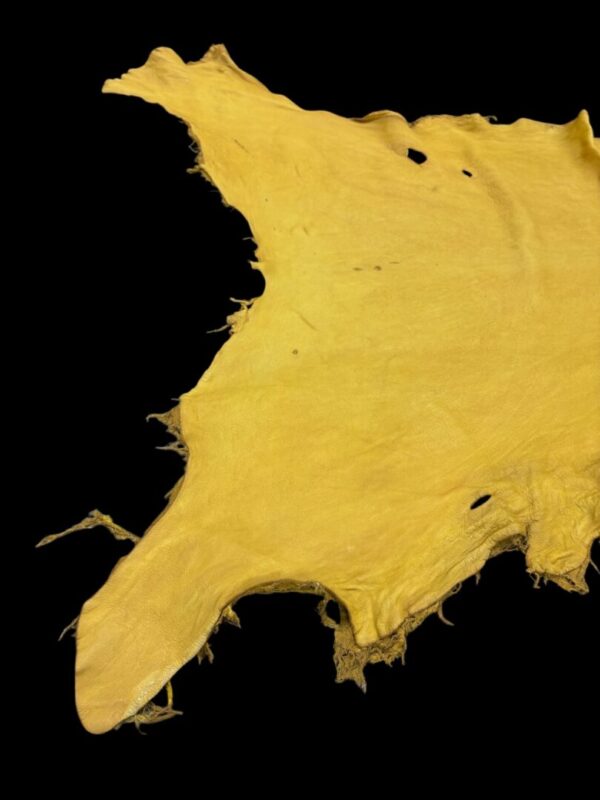 Yellow animal hide on a black background.