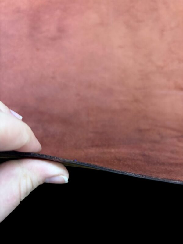 BSNL6245 Close-up of hand holding leather piece.