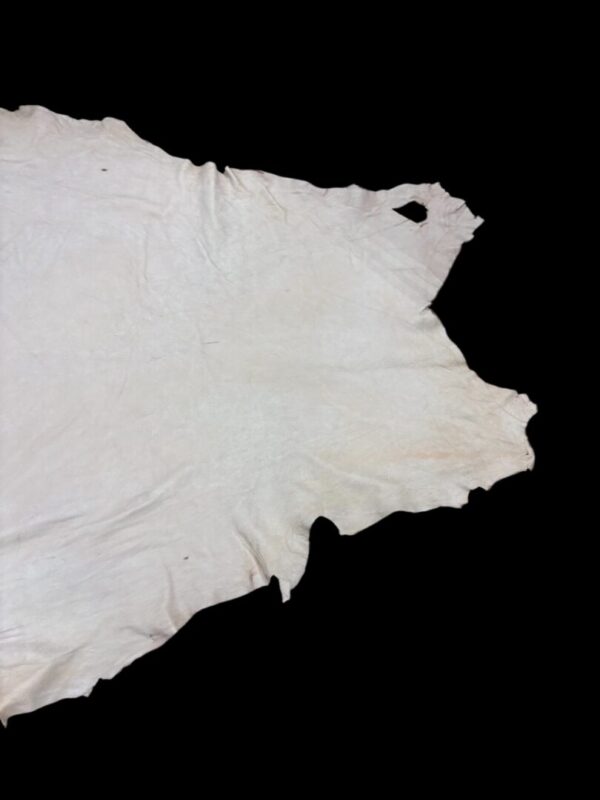 CQNO1717 White animal hide on a black background.