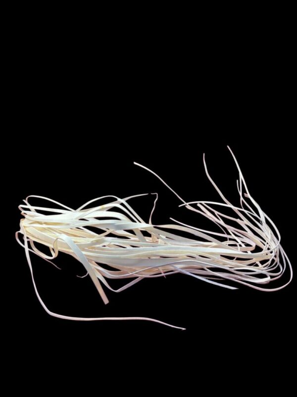 Abstract white ribbons on a black background.