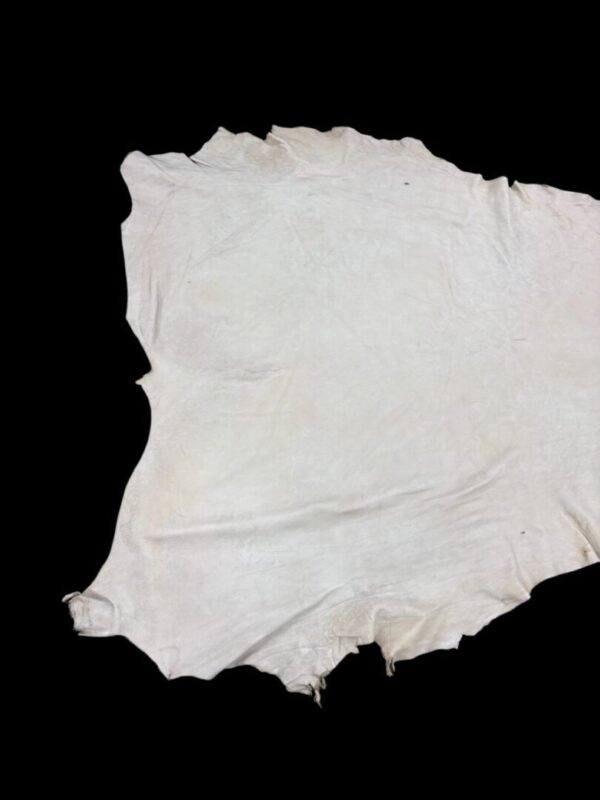 CWAI5799 Animal hide against a black background.