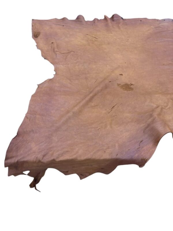 DUQP4256 Animal hide on a light background.