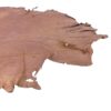 FHGU8051 Raw animal hide on a white background.