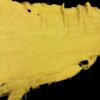 Yellow leather hide with irregular edges.