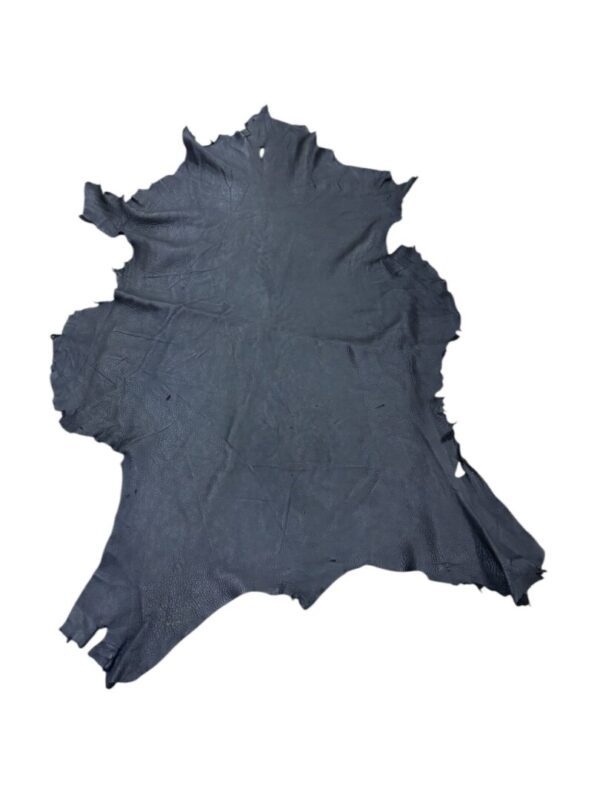 IQDB7899 Black leather hide on white background.