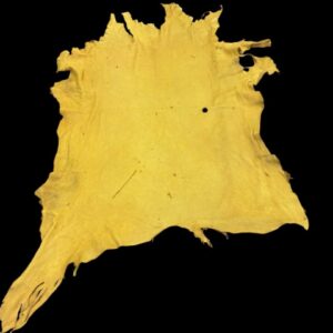 JLMR0021 Yellow animal hide on black background.