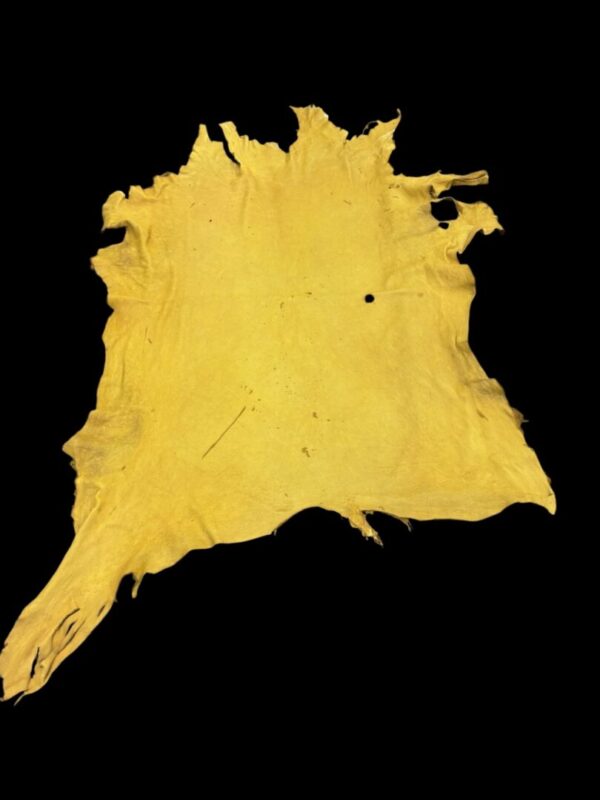 Yellow animal hide on black background.