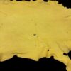Yellow animal hide with irregular edges.