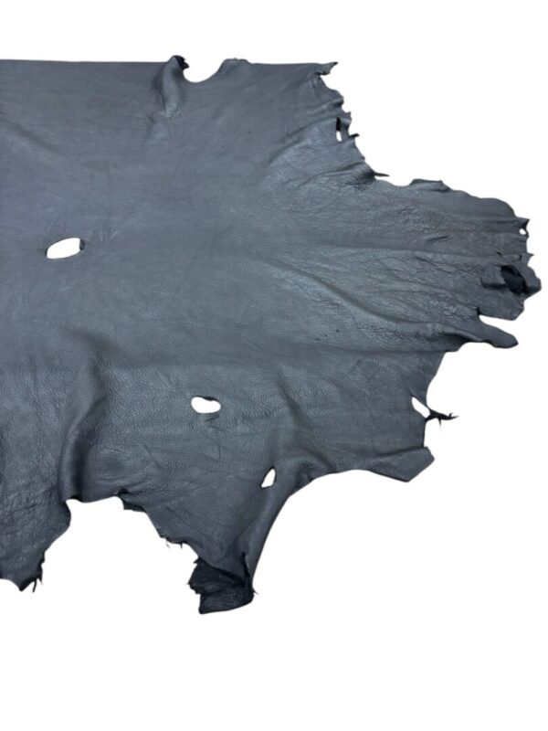 Distressed grey leather hide with holes.