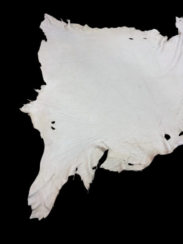 NVDJ0431 Tan animal hide on black background.