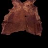 Tanned animal hide on a black background.
