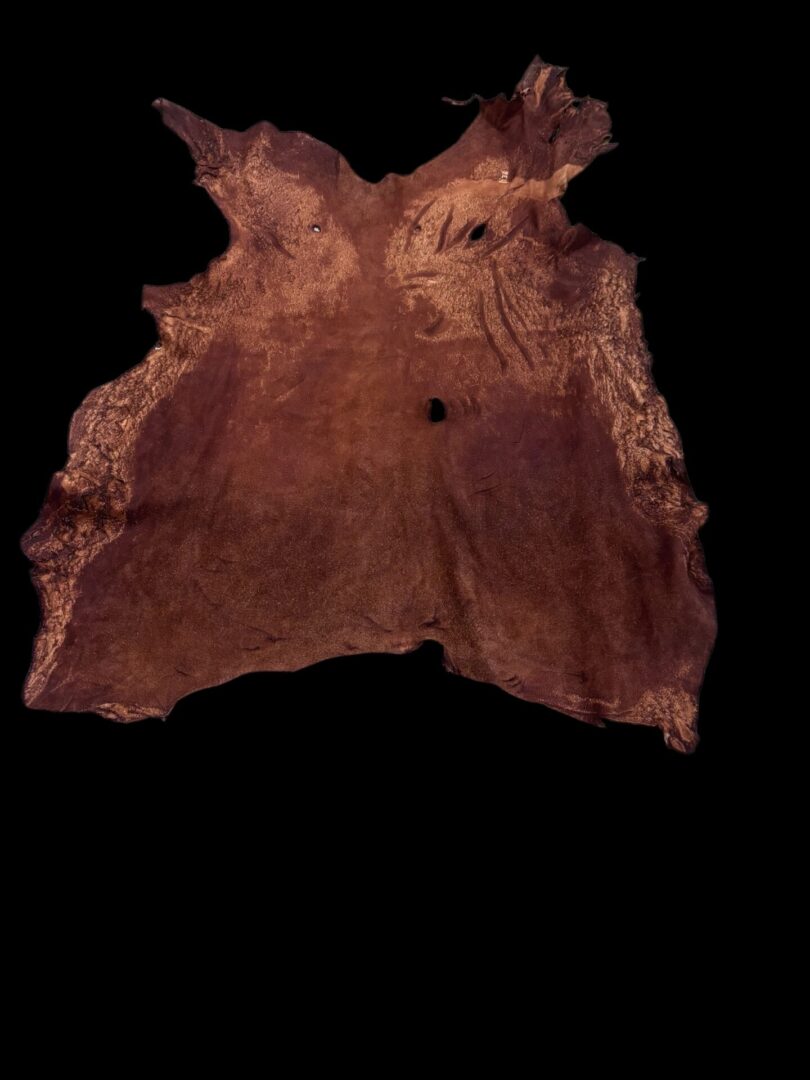 Tanned animal hide on a black background.