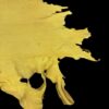 Yellow animal hide on a black background.