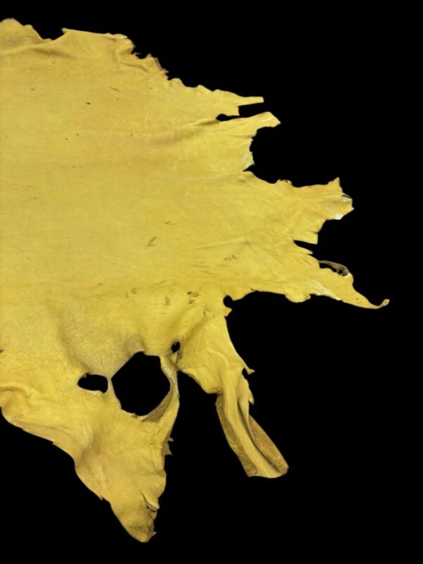 Yellow animal hide on a black background.