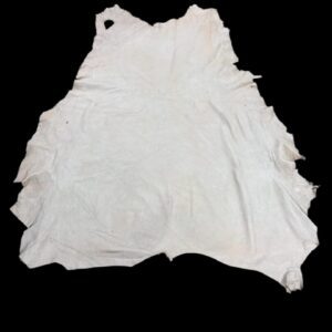 XDCL2498 Animal hide on a black background.