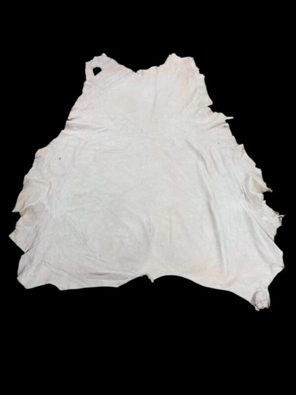 XDCL2498 Animal hide on a black background.