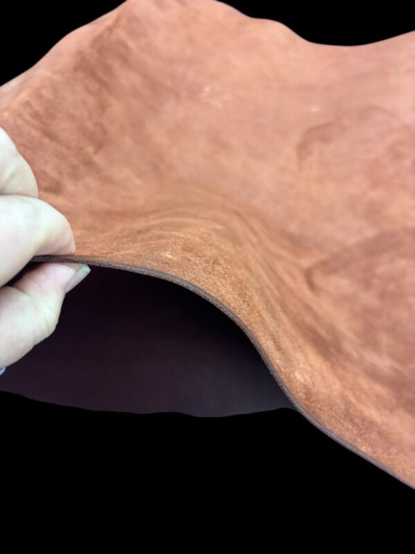 XDHP6723 Hand holding a piece of brown leather.