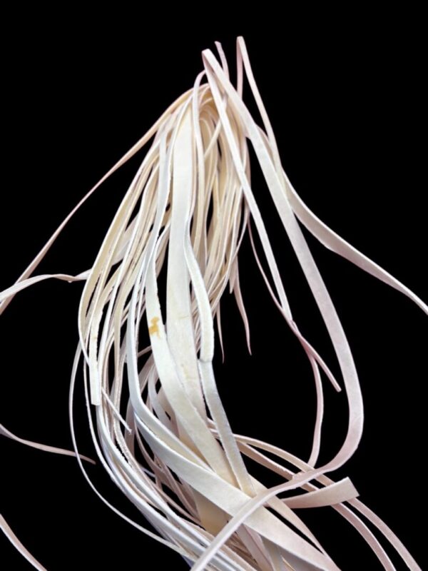 Strands of thin, white material against black.