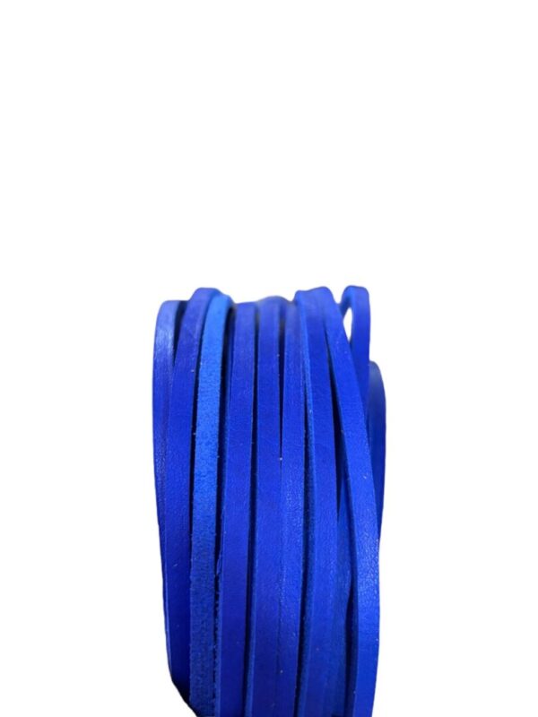 Blue flat shoelaces coiled on white background.