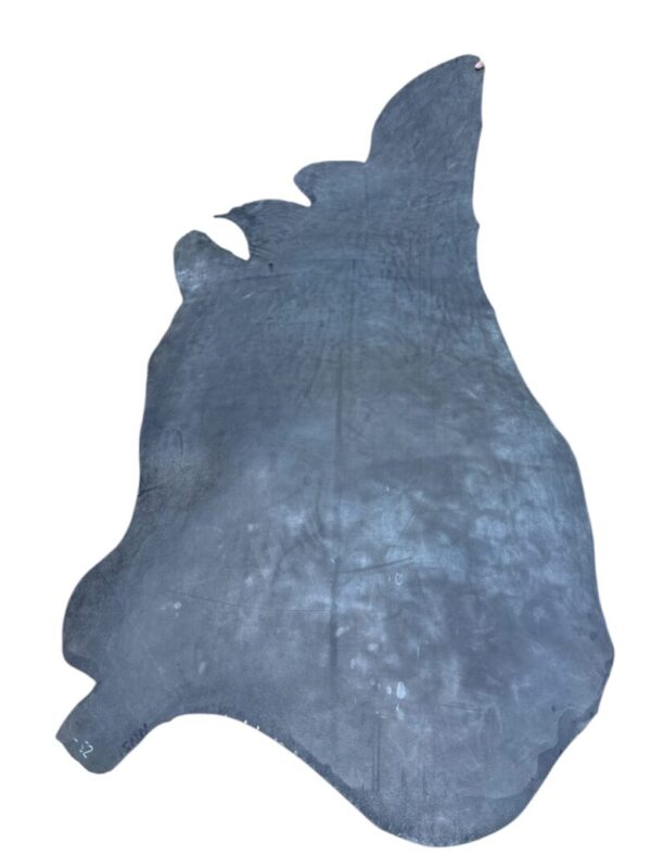 CHMI1669 Dark, irregularly shaped leather hide on display.