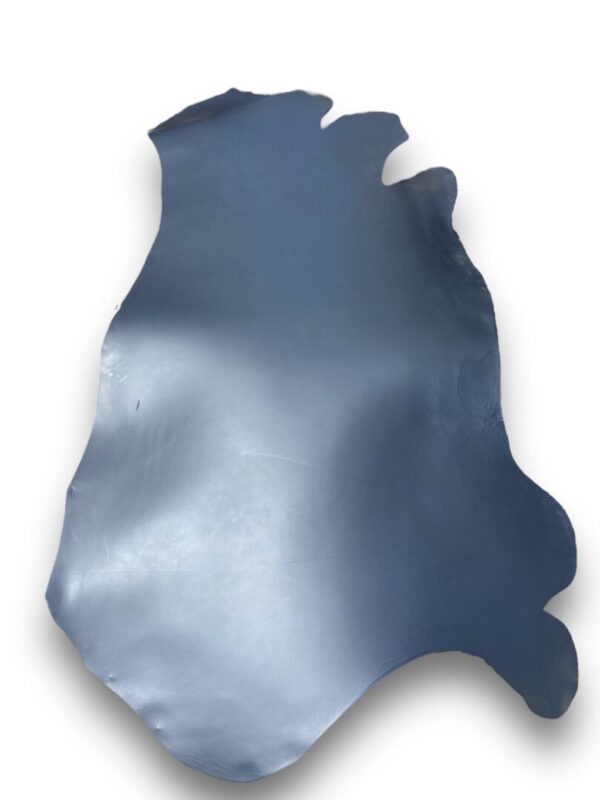 DOYO1489 Gray leather hide on white background.