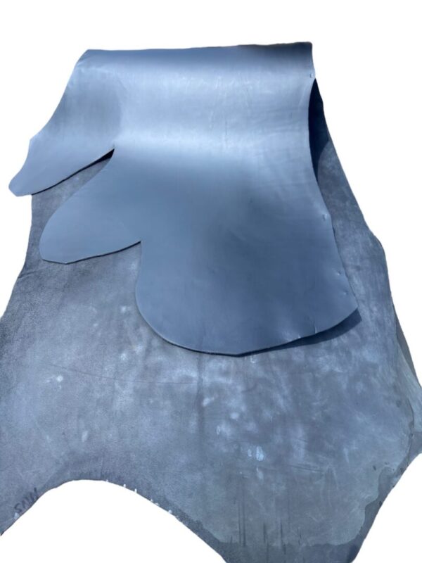 NXGW1714 Black leather hide on white background.