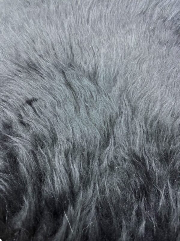 Close-up of gray animal fur with a soft texture.