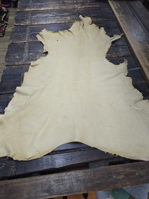 Deerskin Buckskin Hide