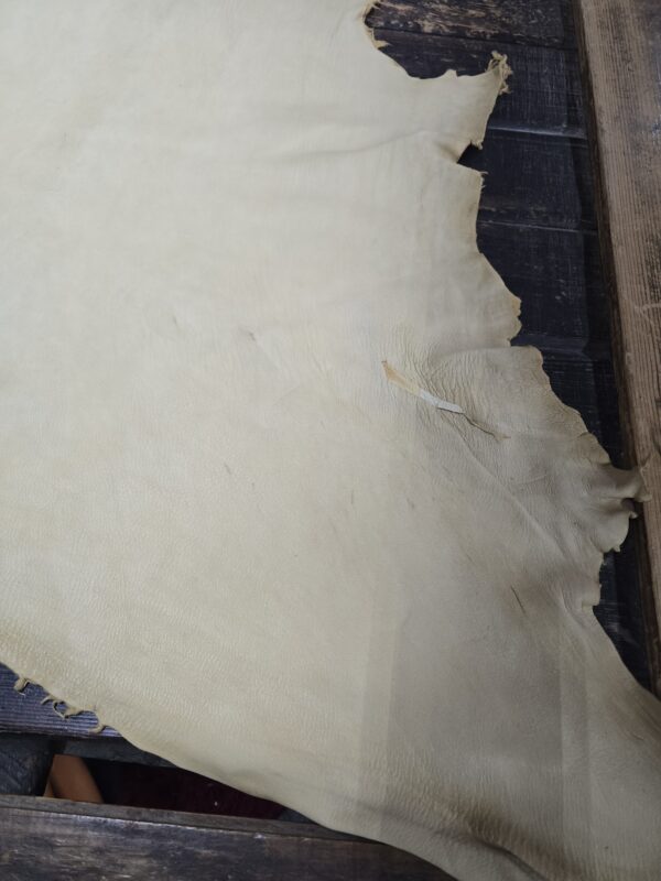 Deerskin Buckskins Hide (SMOKE Color) full grain! C-13 Pic 1