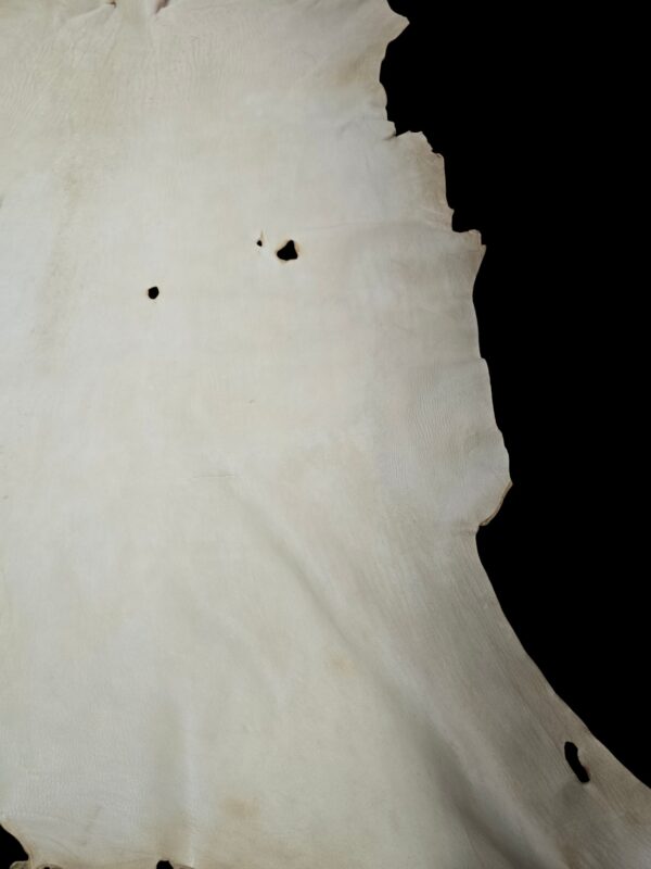 Smoke Deerskin Hide - C-13 Pic 4